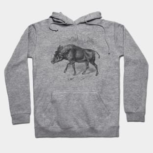 Warthog Vintage Nature Illustration Hoodie